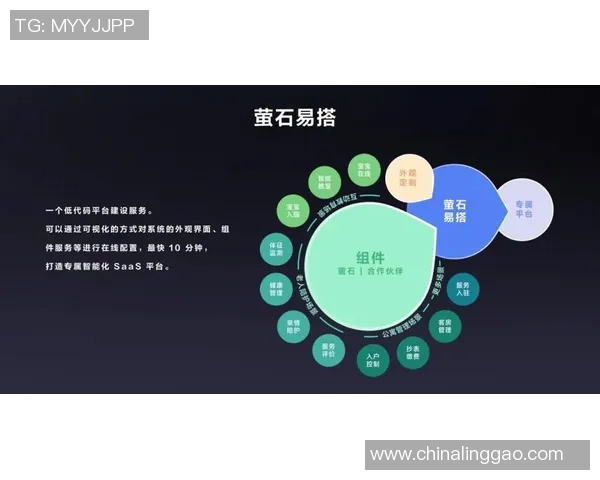 五年蜕变！维尼修斯数据全方位进化展现实力提升